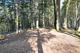21 Angel Ln, Medford, ME 04463 - Photo 7