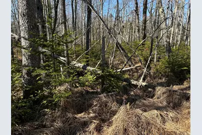 365 Cushing Road, Cushing, ME 04563 - Photo 19