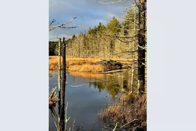 Lot 9 Bluff Road, Bar Harbor, ME 04609 - Photo 29