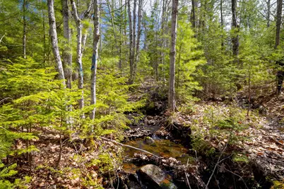 Lot 9 Bluff Road, Bar Harbor, ME 04609 - Photo 25