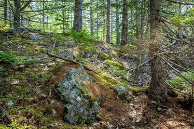 Lot 9 Bluff Road, Bar Harbor, ME 04609 - Photo 21