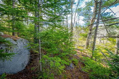 Lot 9 Bluff Road, Bar Harbor, ME 04609 - Photo 13