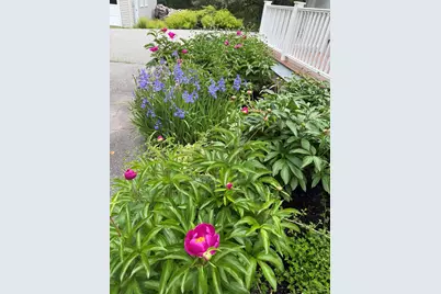 299 Gates Road, Jefferson, ME 04348 - Photo 93