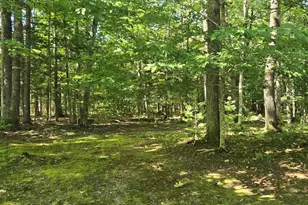 32 Middle Ridge Rd, Bridgton, ME 04009 - Photo 53