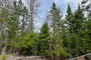 242 Bottle Lake Rd, Springfield, ME 04487 - Photo 37