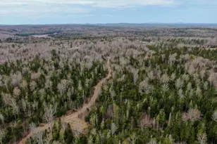 242 Bottle Lake Rd, Springfield, ME 04487 - Photo 9