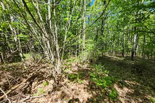 46 Towle St, Buxton, ME 04093 - Photo 19