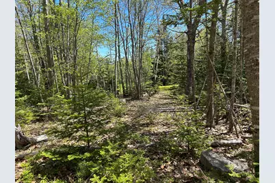 3 Cemetery Road, Gouldsboro, ME 04607 - Photo 9