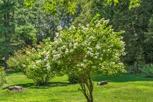 53 Mill Rd, North Yarmouth, ME 04097 - Photo 23