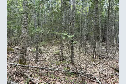 M1L15 Eastbrook Road, Eastbrook, ME 04634 - Photo 25