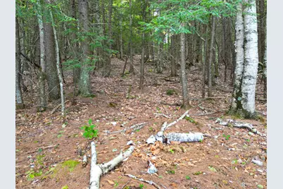 0 Osprey Point, Belgrade, ME 04917 - Photo 19