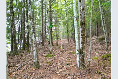 0 Osprey Point, Belgrade, ME 04917 - Photo 15
