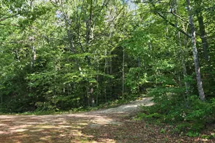 286 Staples Hill Rd, Canton, ME 04221 - Photo 47