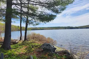 286 Staples Hill Rd, Canton, ME 04221 - Photo 3