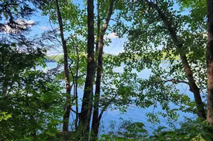 286 Staples Hill Rd, Canton, ME 04221 - Photo 55