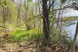 286 Staples Hill Rd, Canton, ME 04221 - Photo 65
