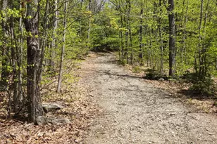 286 Staples Hill Rd, Canton, ME 04221 - Photo 63