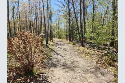 286 Staples Hill Road, Canton, ME 04221 - Photo 69