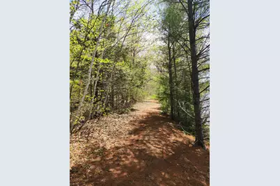 286 Staples Hill Road, Canton, ME 04221 - Photo 41