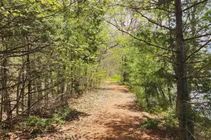 286 Staples Hill Rd, Canton, ME 04221 - Photo 63