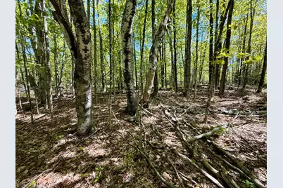 Lot34I Scammon Road, Greenville, ME 04441 - Photo 3