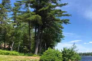16 Millers Way, Bridgton, ME 04009 - Photo 43