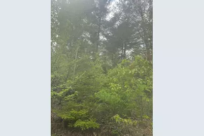 Lot 2 Morse District Road Road N, Steuben, ME 04680 - Photo 5