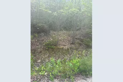 Lot 2 Morse District Road Road N, Steuben, ME 04680 - Photo 3