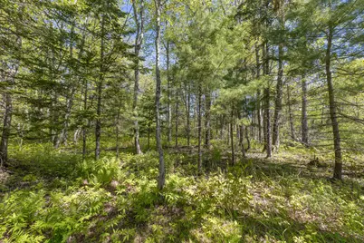87 Bangor Road, Ellsworth, ME 04605 - Photo 13