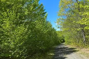 449 Mayfield Rd, Brighton Plt, ME 04920 - Photo 57