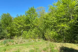 449 Mayfield Rd, Brighton Plt, ME 04920 - Photo 51