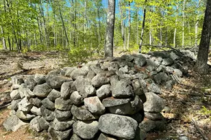 19 Grist Mill Rd, Naples, ME 04055 - Photo 13