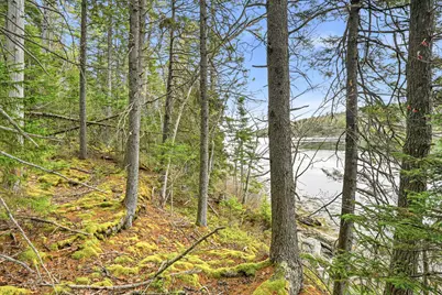 16 Otter Lane, Westport, ME 04578 - Photo 7