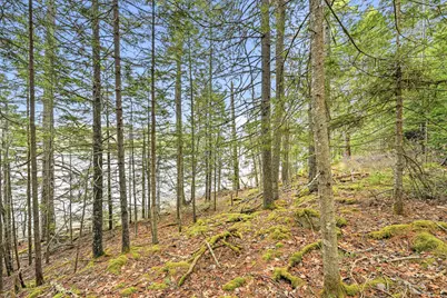 16 Otter Lane, Westport, ME 04578 - Photo 9