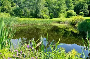 127 Swan Lake Ave, Belfast, ME 04915 - Photo 71