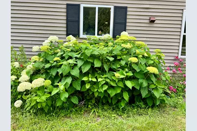 127 Swan Lake Avenue, Belfast, ME 04915 - Photo 77