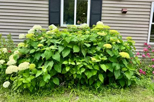 127 Swan Lake Ave, Belfast, ME 04915 - Photo 77