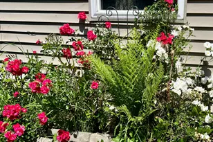127 Swan Lake Ave, Belfast, ME 04915 - Photo 65