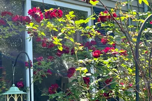 127 Swan Lake Ave, Belfast, ME 04915 - Photo 75