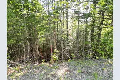 Lot 41-1 Bottle Lake Road, Lakeville, ME 04487 - Photo 13