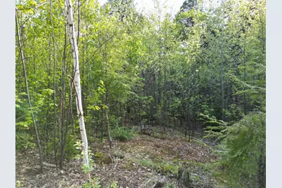 Lot 41-1 Bottle Lake Road, Lakeville, ME 04487 - Photo 11