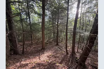 Lot 41-1 Bottle Lake Road, Lakeville, ME 04487 - Photo 5