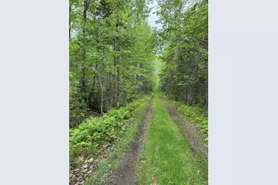 Tbd Fitz Road #001-018, Kenduskeag, ME 04450 - Photo 7