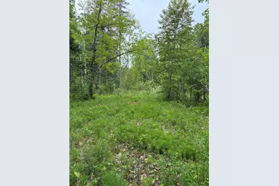 Tbd Fitz Road #001-018, Kenduskeag, ME 04450 - Photo 1