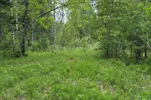 Tbd Fitz Rd, Kenduskeag, ME 04450 - Photo 1