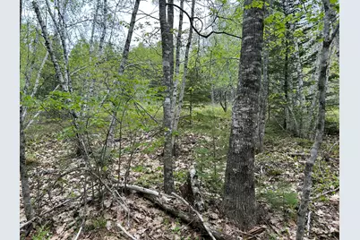 M1L15A Eastbrook Road, Eastbrook, ME 04634 - Photo 7