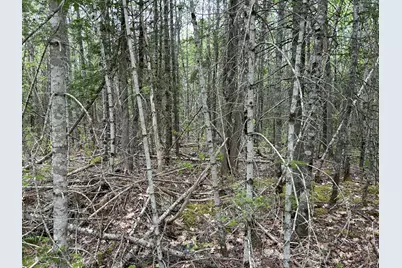 M1L15B Eastbrook Road, Eastbrook, ME 04634 - Photo 5
