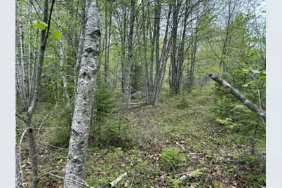 M1L15B Eastbrook Road, Eastbrook, ME 04634 - Photo 15