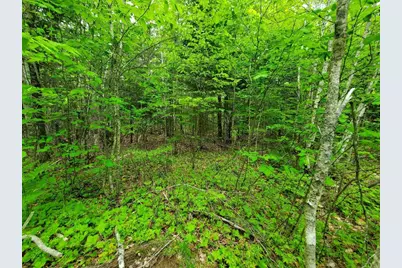 77 South Princeton Road, Alexander, ME 04694 - Photo 19