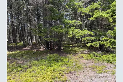 000 Stanley Point Road, Swans Island, ME 04685 - Photo 5